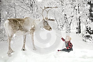 Toddler boy with Reindeer in snow