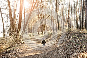 Toddler boy runs in the sunny forest