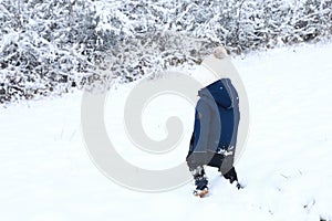 Toddler boy walking in snow to frozen bush