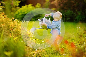 toddler boy watering plants in the garden at summer sunny day