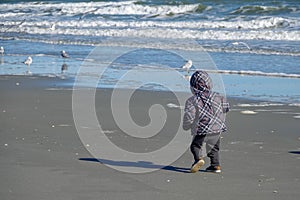 Toddler Child on the Beach in Winter
