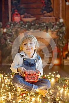 Toddler child, cute blond boy, sitting on the floor with pet dog, christmas lights around