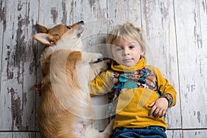 Toddler child and dog, boy and puppy playing together at home