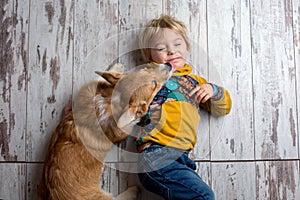 Toddler child and dog, boy and puppy playing together at home