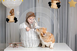 Toddler child and dog, boy and puppy playing together at home