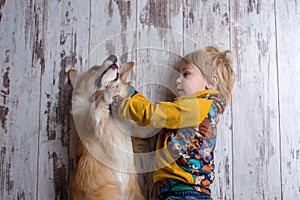 Toddler child and dog, boy and puppy playing together at home