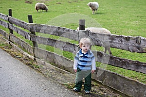 Toddler child standing in front of a wooden fence