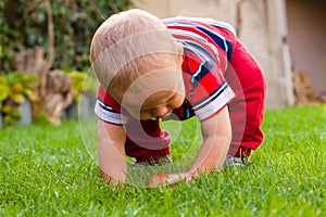 Toddler discovering nature