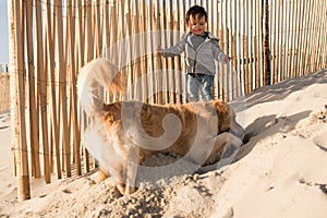 Toddler with dog on the beach