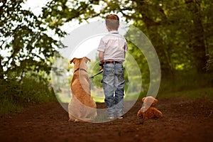 Toddler with dog and teddy