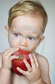 Toddler Eating Apple