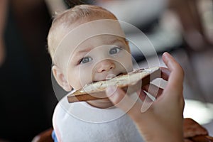 Toddler eating toast