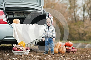 toddler enjoying harvest festival celebration at pumpkin patch. Kids picking and carving pumpkins at country farm on