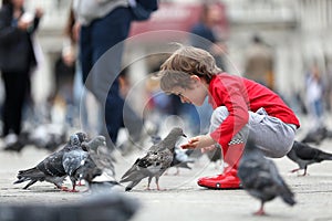 Toddler feeding the pigeons