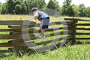 Toddler on Fence