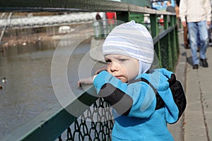 Toddler and fence