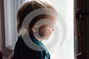 Toddler gazing out of a window