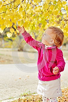 Toddler girl   in autumn park