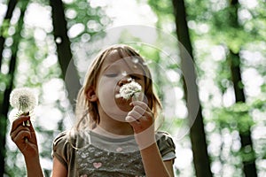 Toddler girl blowing dandelion bulb while holding another one in other hand