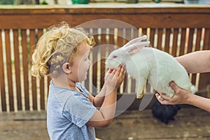 Toddler girl caresses and playing with rabbit in the petting zoo