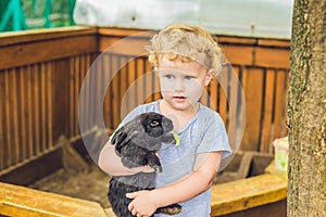 Toddler girl caresses and playing with rabbit in the petting zoo