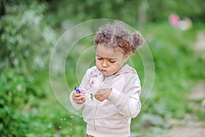 Toddler girl with curly hair playing with yellow dandelions in