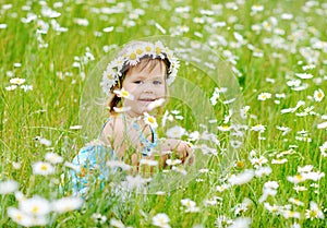 Toddler girl on the daisy meadow