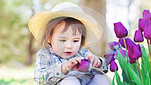 Toddler girl in a hat playing with tulips