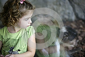 Toddler girl looking at the monkey