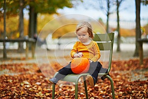 Toddler girl playing with colorful pumpkins