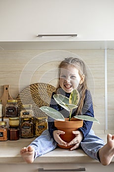 Toddler girl sits on the kitchen table sits and holds a clay pot with ficus in her hands