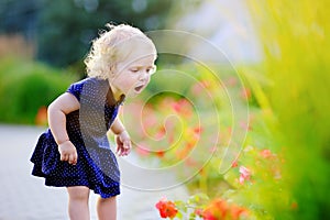 Toddler girl smelling red flowers