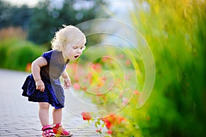 Toddler girl smelling red flowers