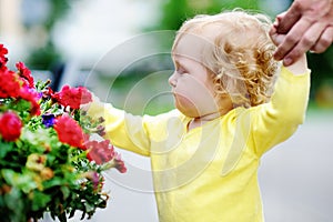 Toddler girl smelling red flowers at the spring or summer day