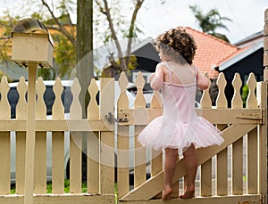 Toddler girl standing on fence