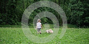 Toddler girl walking in a meadow with her dog