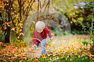 Toddler having fun in autumn park/forest