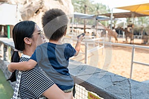 Toddler and his mother are watching giraffes in the Zoo