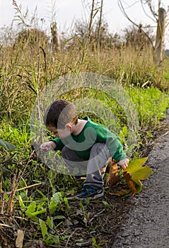 Toddler kneeling at nature