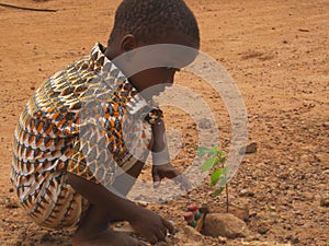 Toddler planting sapling on street in Ouagadougou, , Burkina Faso