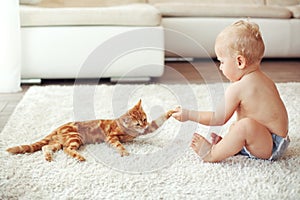 Toddler playing with cat