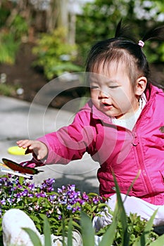 Toddler Playing in the Garden