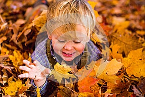 Toddler plays in the leaves