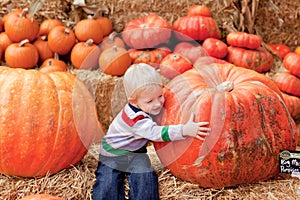 Toddler at the pumpkin patch