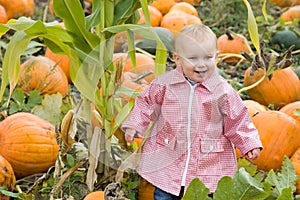 Toddler in pumpkin patch