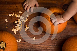 Toddler Reaching into a Pumpkin