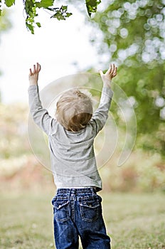 Toddler reaching up photo