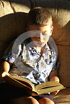 Toddler Reading