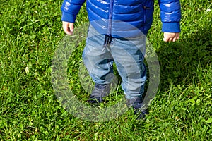 Toddler's first steps on a green lawn