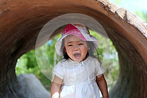 Toddler Screaming Happiness